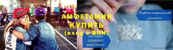 индика Богородск