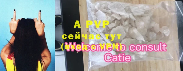 ECSTASY Богородицк
