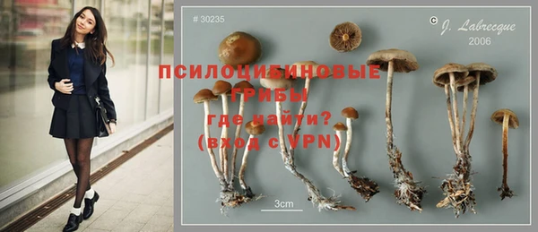 прущая мука Богданович