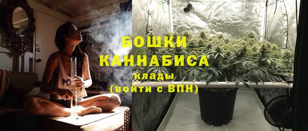 метадон Белокуриха