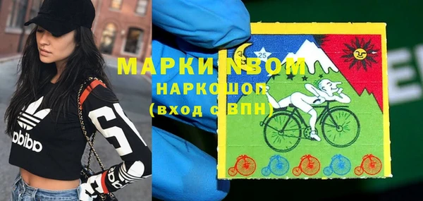 гидра Михайловск