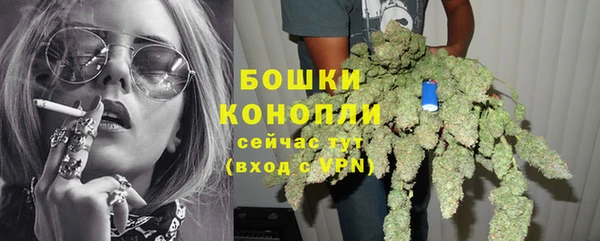 прущая мука Богданович