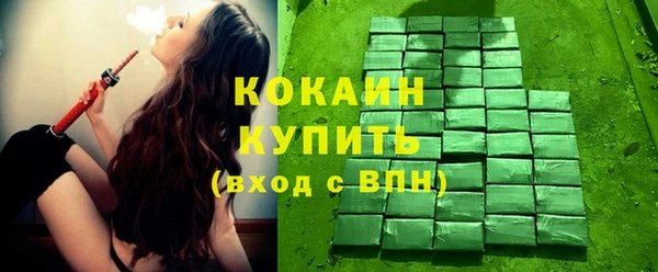 ECSTASY Богородицк