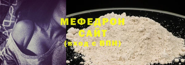 индика Богородск