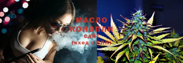 индика Богородск